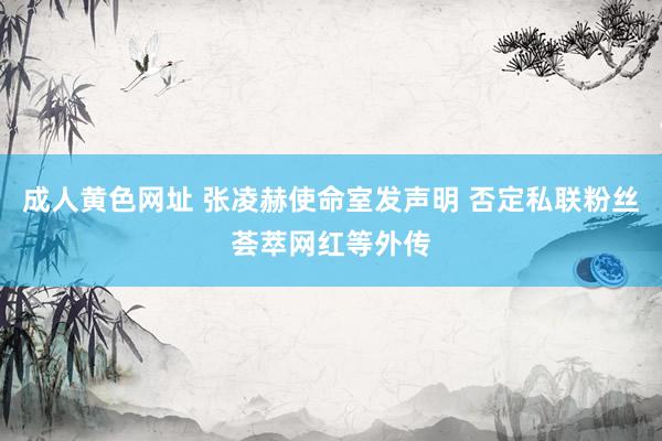 成人黄色网址 张凌赫使命室发声明 否定私联粉丝荟萃网红等外传