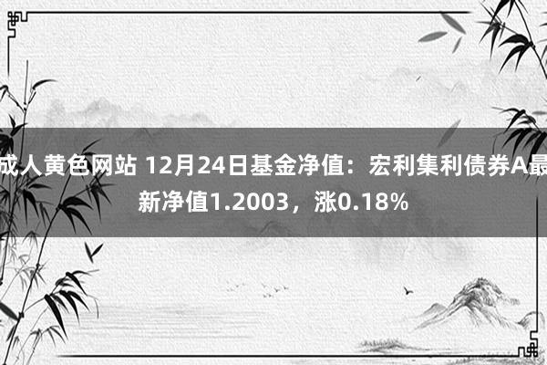 成人黄色网站 12月24日基金净值：宏利集利债券A最新净值1.2003，涨0.18%