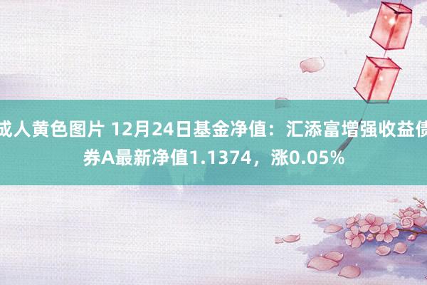 成人黄色图片 12月24日基金净值：汇添富增强收益债券A最新净值1.1374，涨0.05%