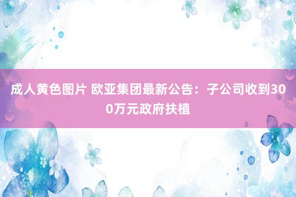 成人黄色图片 欧亚集团最新公告：子公司收到300万元政府扶植