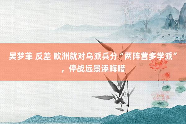 吴梦菲 反差 欧洲就对乌派兵分“两阵营多学派”，停战远景添晦暗