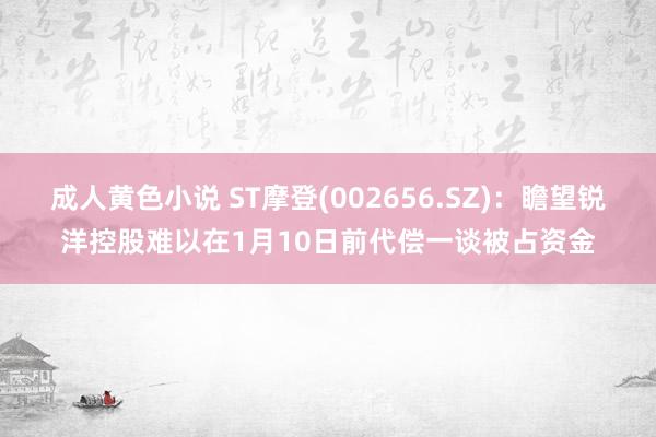 成人黄色小说 ST摩登(002656.SZ)：瞻望锐洋控股难以在1月10日前代偿一谈被占资金