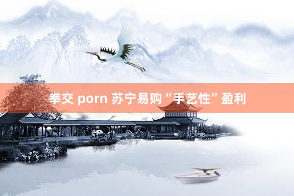拳交 porn 苏宁易购“手艺性”盈利