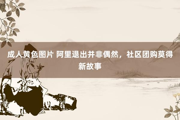 成人黄色图片 阿里退出并非偶然，社区团购莫得新故事