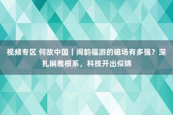 视频专区 何故中国｜闽韵福游的磁场有多强？深扎娴雅根系，科技开出似锦