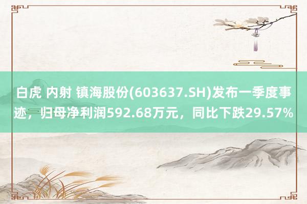 白虎 内射 镇海股份(603637.SH)发布一季度事迹，归母净利润592.68万元，同比下跌29.57%