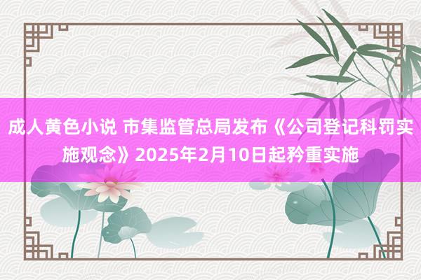 成人黄色小说 市集监管总局发布《公司登记科罚实施观念》2025年2月10日起矜重实施