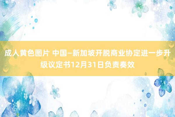 成人黄色图片 中国—新加坡开脱商业协定进一步升级议定书12月31日负责奏效