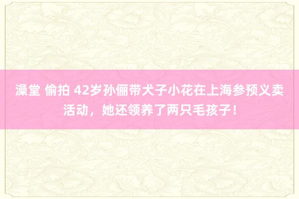 澡堂 偷拍 42岁孙俪带犬子小花在上海参预义卖活动，她还领养了两只毛孩子！