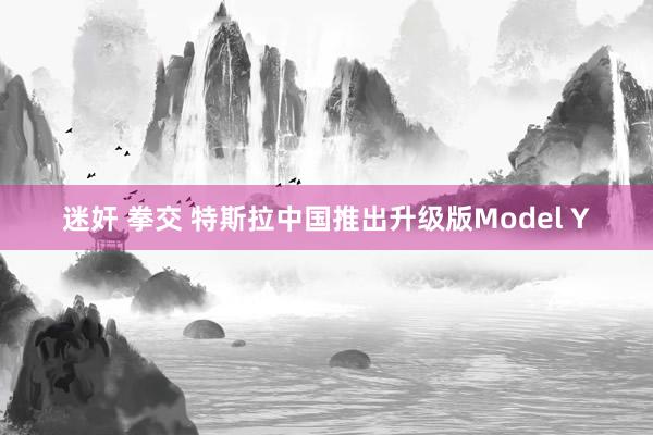 迷奸 拳交 特斯拉中国推出升级版Model Y