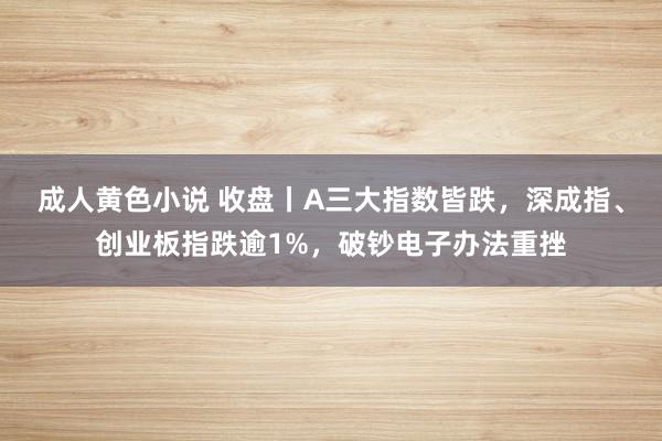 成人黄色小说 收盘丨A三大指数皆跌，深成指、创业板指跌逾1%，破钞电子办法重挫