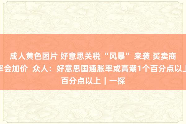 成人黄色图片 好意思关税 “风暴” 来袭 买卖商：巧合率会加价  众人：好意思国通胀率或高潮1个百分点以上｜一探