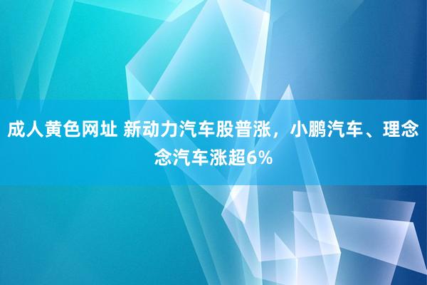 成人黄色网址 新动力汽车股普涨，小鹏汽车、理念念汽车涨超6%
