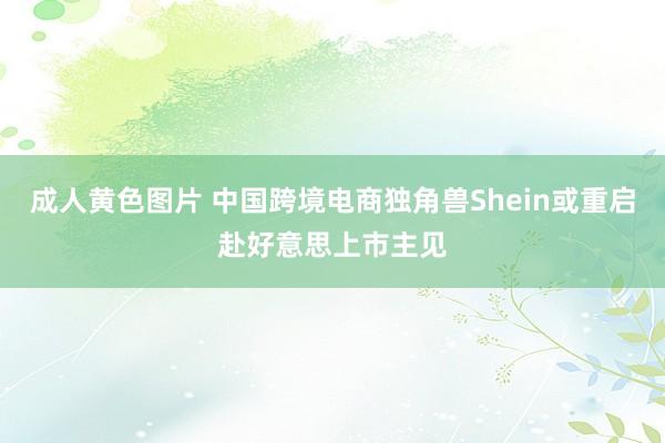 成人黄色图片 中国跨境电商独角兽Shein或重启赴好意思上市主见