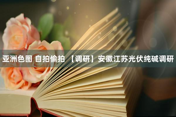 亚洲色图 自拍偷拍 【调研】安徽江苏光伏纯碱调研