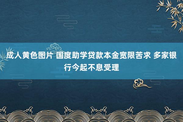 成人黄色图片 国度助学贷款本金宽限苦求 多家银行今起不息受理
