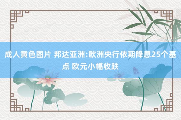 成人黄色图片 邦达亚洲:欧洲央行依期降息25个基点 欧元小幅收跌