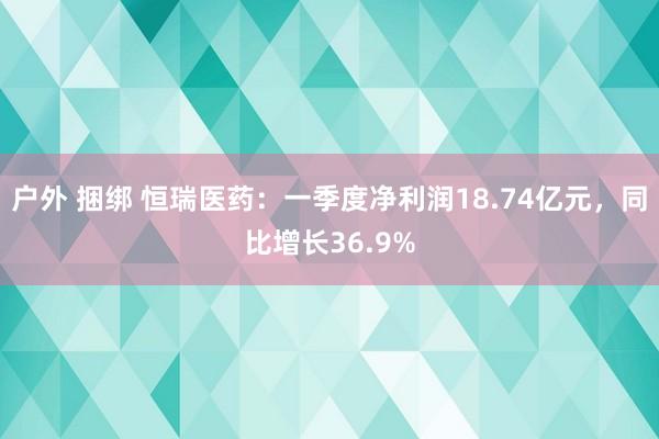 户外 捆绑 恒瑞医药：一季度净利润18.74亿元，同比增长36.9%