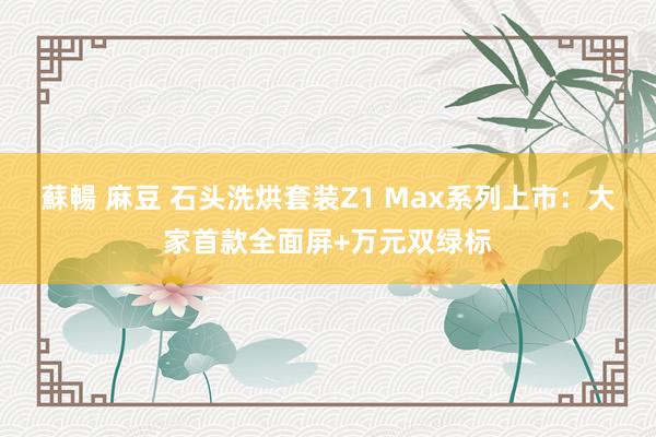 蘇暢 麻豆 石头洗烘套装Z1 Max系列上市：大家首款全面屏+万元双绿标