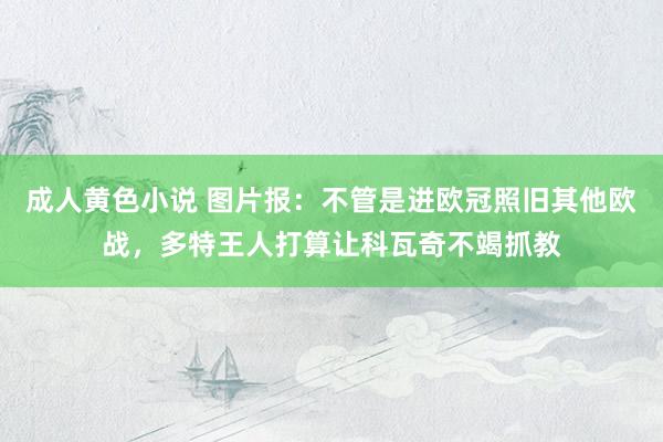 成人黄色小说 图片报：不管是进欧冠照旧其他欧战，多特王人打算让科瓦奇不竭抓教