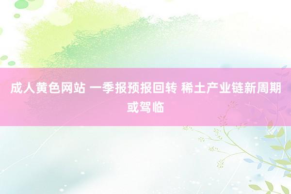 成人黄色网站 一季报预报回转 稀土产业链新周期或驾临