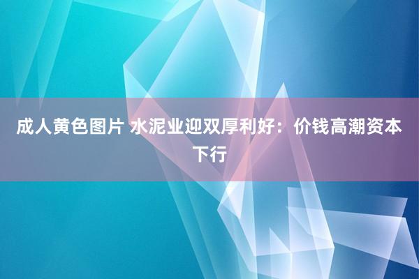 成人黄色图片 水泥业迎双厚利好：价钱高潮资本下行