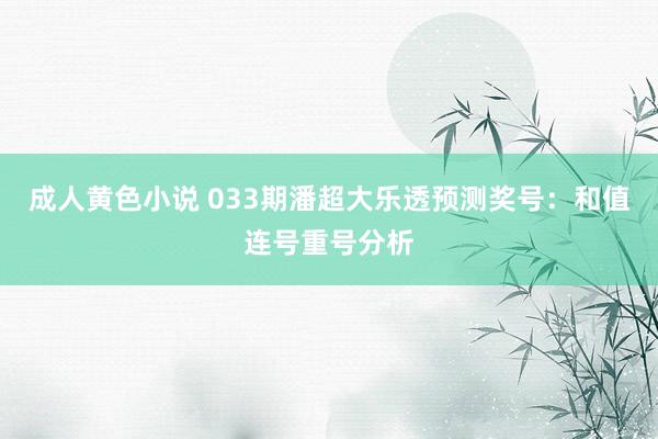 成人黄色小说 033期潘超大乐透预测奖号：和值连号重号分析