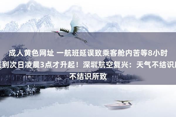 成人黄色网址 一航班延误致乘客舱内苦等8小时，直到次日凌晨3点才升起！深圳航空复兴：天气不结识所致