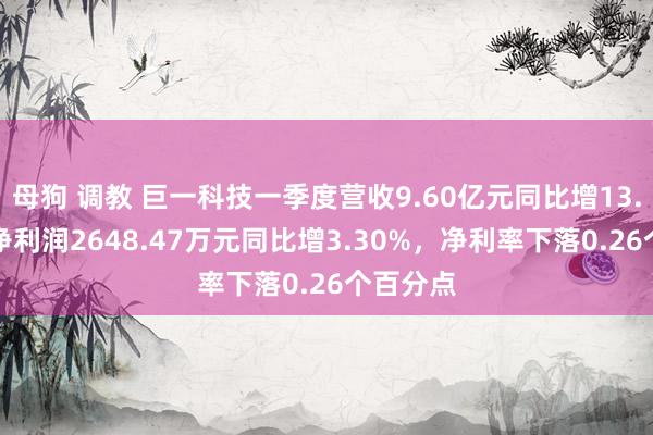 母狗 调教 巨一科技一季度营收9.60亿元同比增13.20%，净利润2648.47万元同比增3.30%，净利率下落0.26个百分点