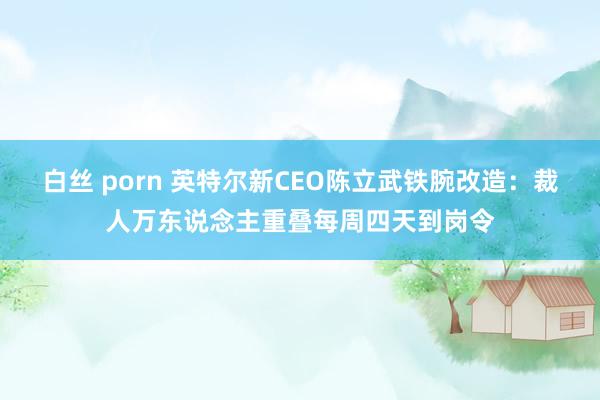 白丝 porn 英特尔新CEO陈立武铁腕改造：裁人万东说念主重叠每周四天到岗令